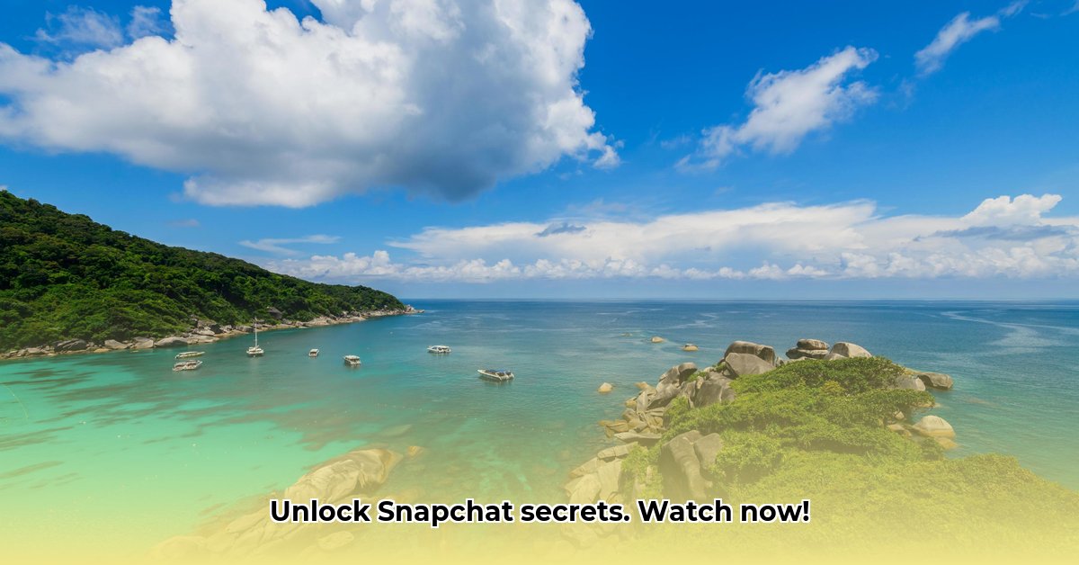 view-snapchat-online